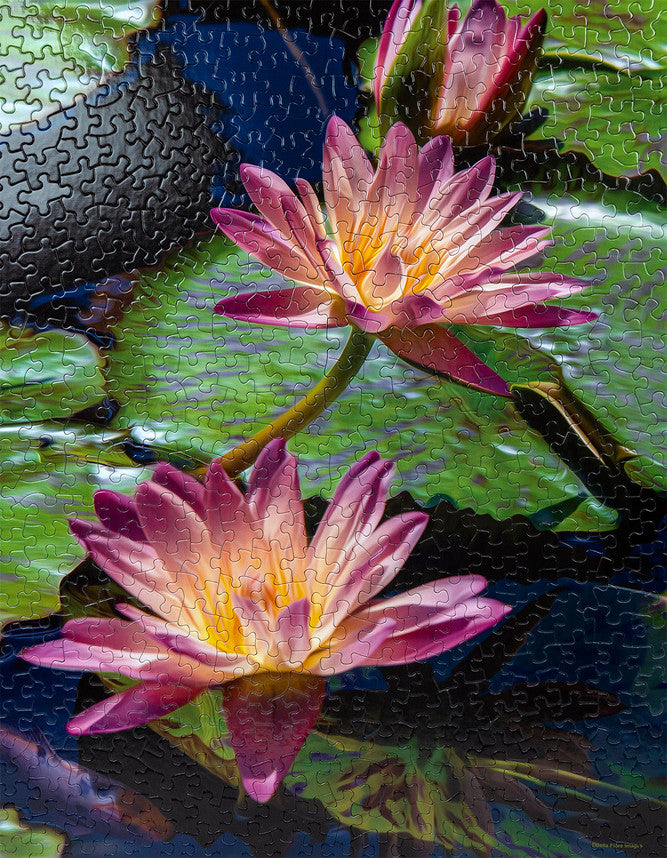 Water Lilies 500 Piece Puzzle