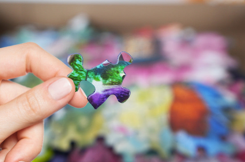 Birds of Spring 500 Piece Puzzle