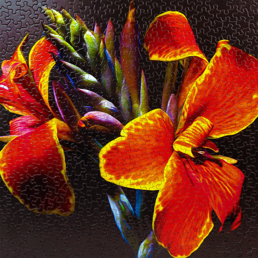 Maderna Canna Lily 500 Piece Puzzle