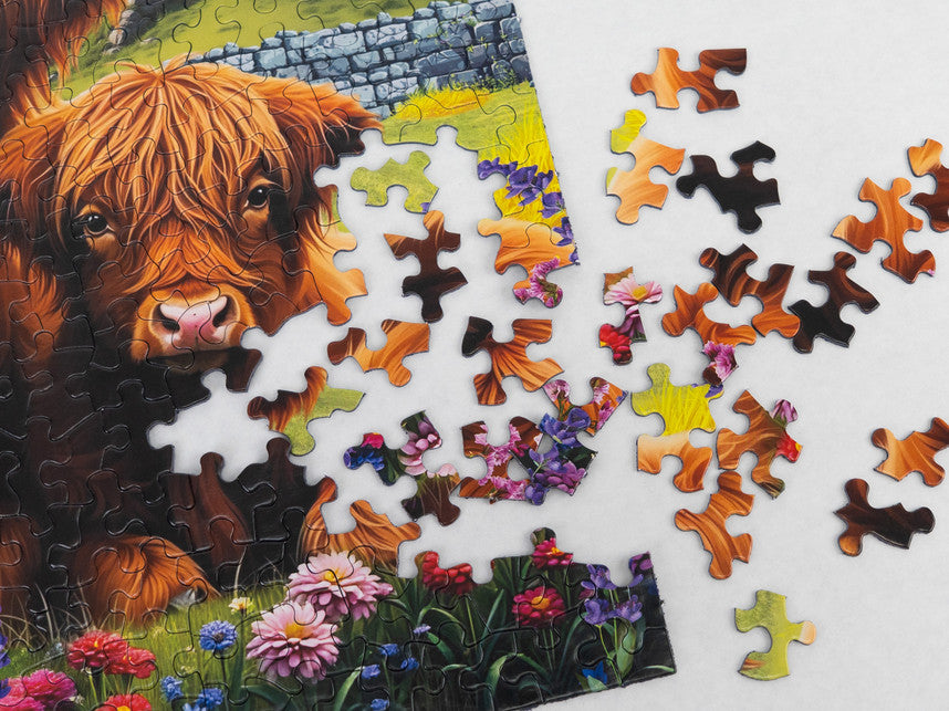 Highland Cows In The Countryside 500 Piece Puzzle