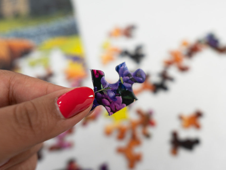 Highland Cows In The Countryside 500 Piece Puzzle