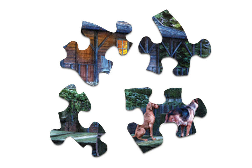 SPRGBK Moonlit Night 1000 Piece Puzzle