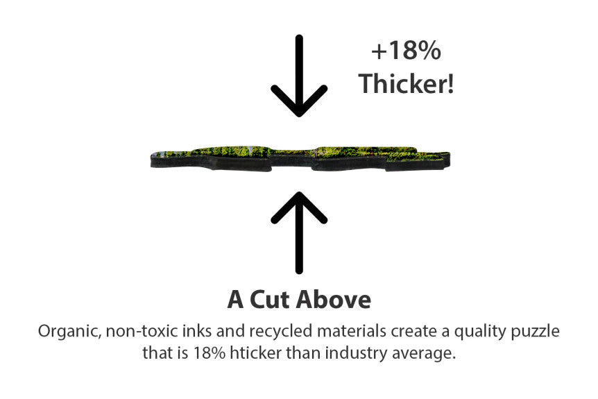 SPRGBK Calm Canoes 1000 Piece Puzzle