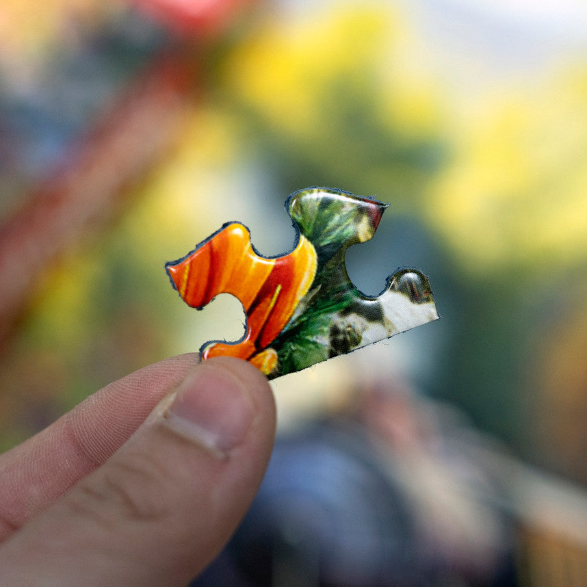 Tunnel Pass 1000 Piece Puzzle