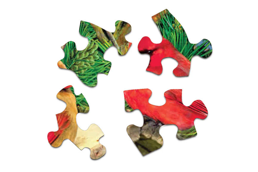 SPRGBK Feathered Retreat 350 Piece Large Format Puzzle