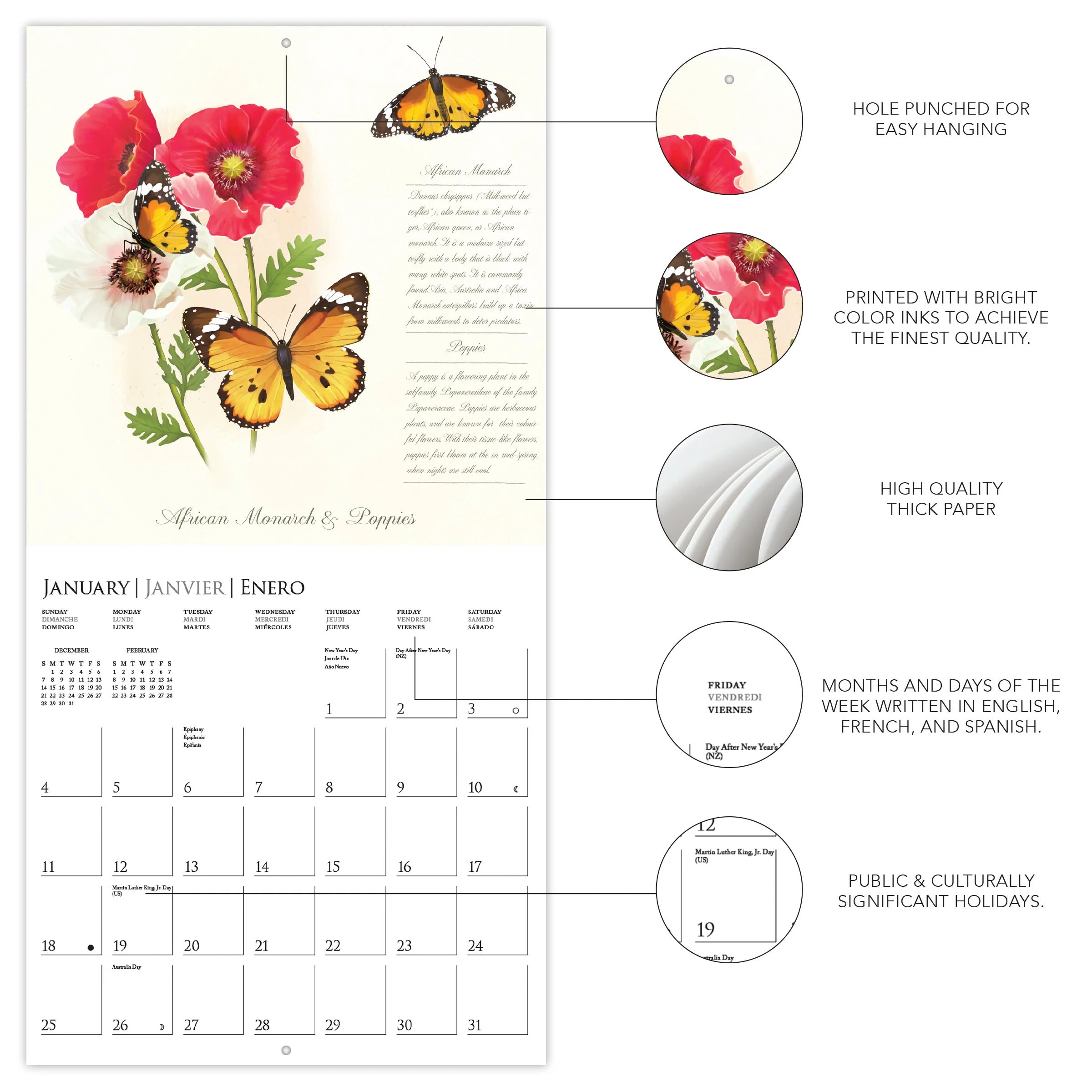 Butterflies 2026 Wall Calendar