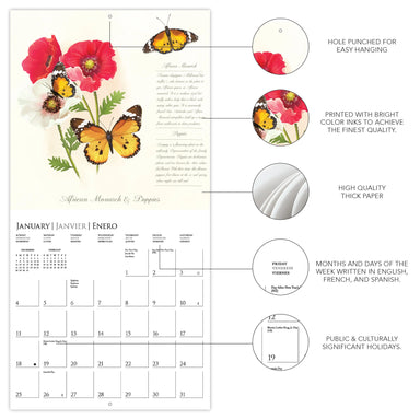 Butterflies 2026 Wall Calendar