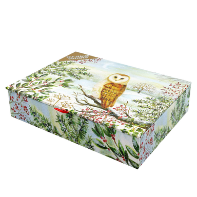 Barn Owl in Winter Deluxe Boxed Holiday Cards