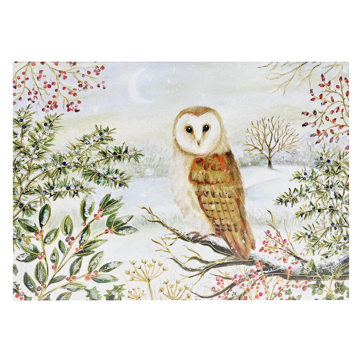 PTR Barn Owl in Winter Deluxe Boxed Holiday Cards
