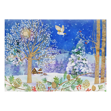 PTR Winter Starlight Deluxe Boxed Holiday Cards