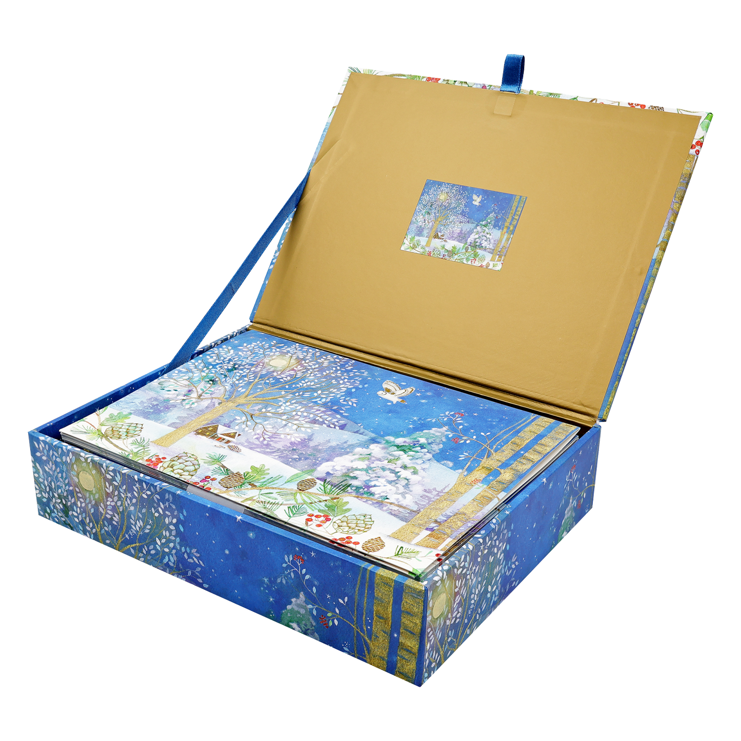 PTR Winter Starlight Deluxe Boxed Holiday Cards
