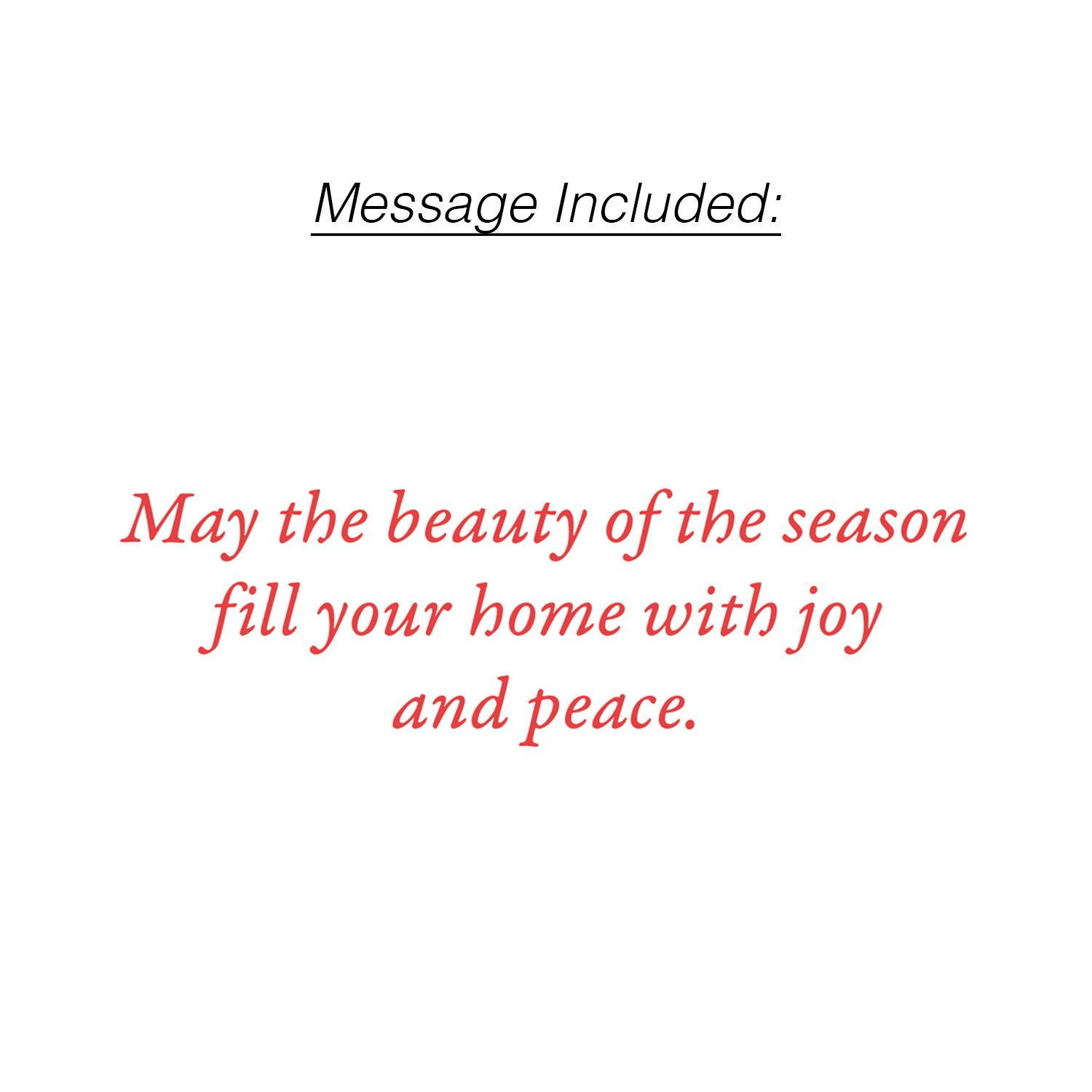 PTR Tis the Season Small Boxed Holiday Cards