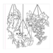 Cute and Curious Cats Coloring Book