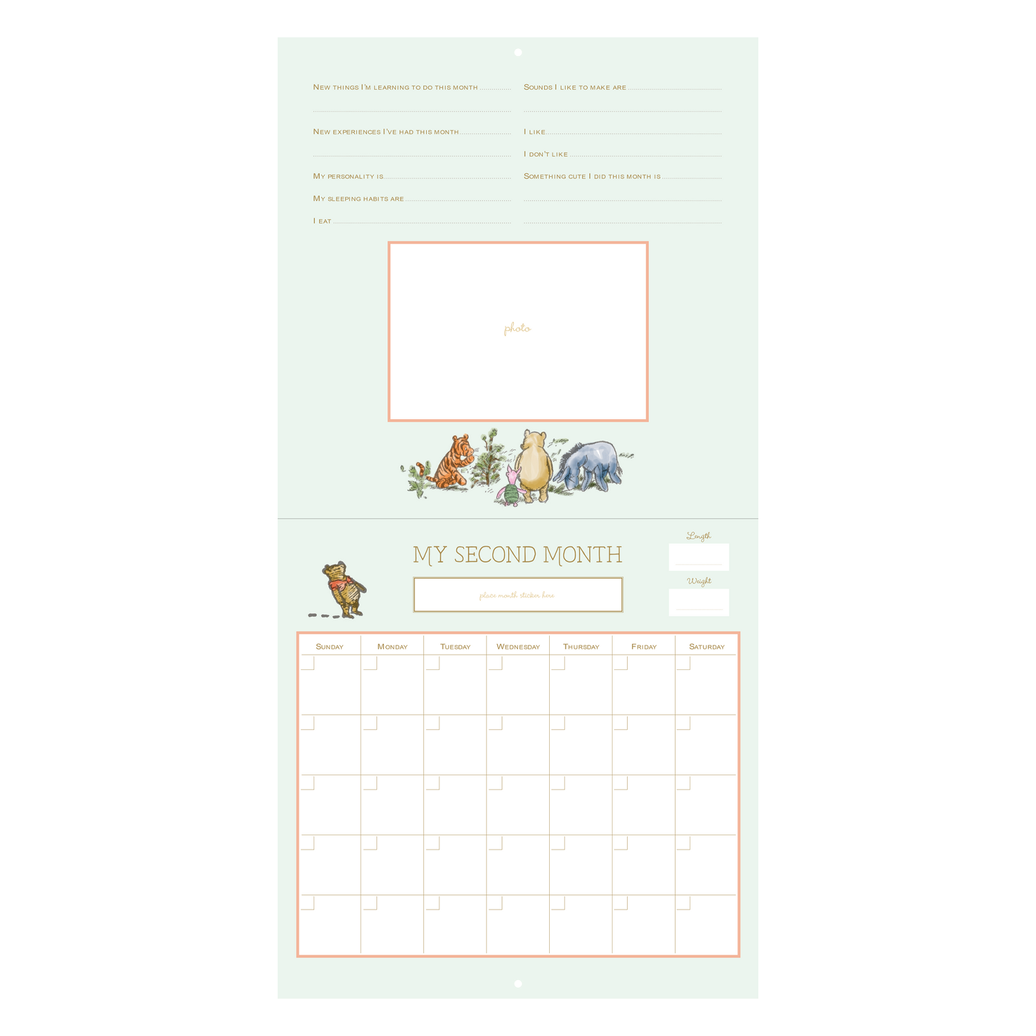 PTR Winnie-the-Pooh First Year Calendar