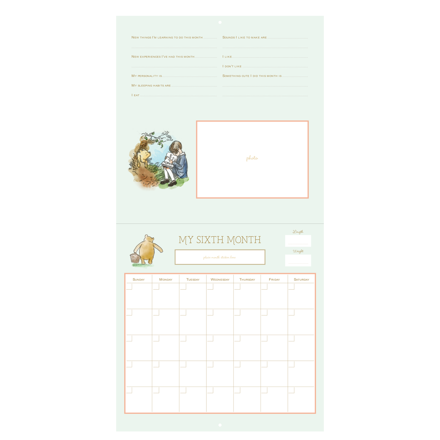 PTR Winnie-the-Pooh First Year Calendar