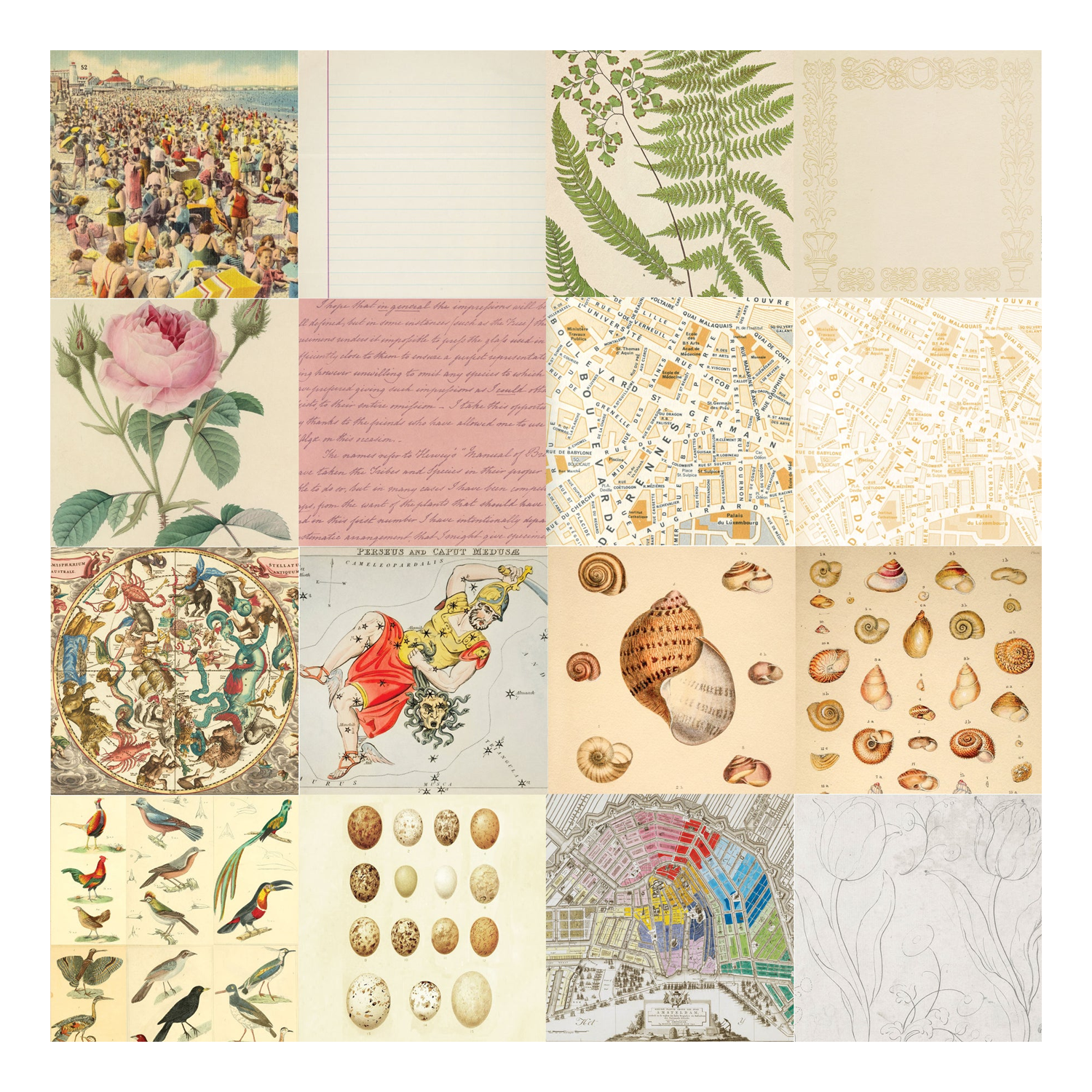 Patterned Paper Pack - Ephemera