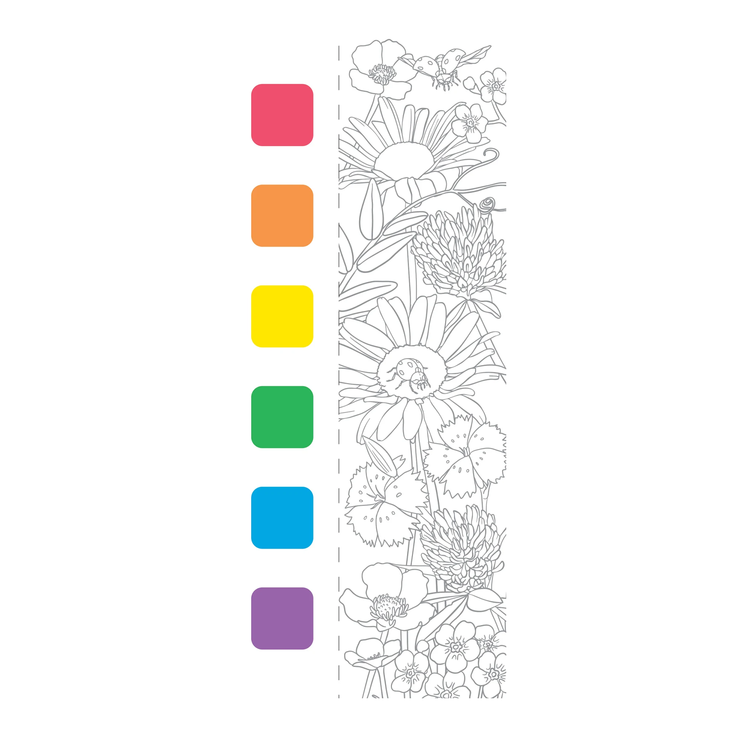 PTR Watercolor Painting Kit - Wildflowers