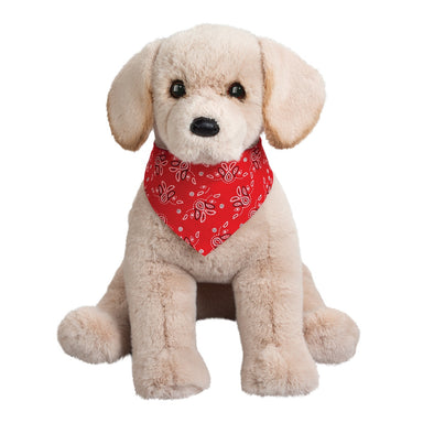 Maple Jumbo Labrador with Bandana