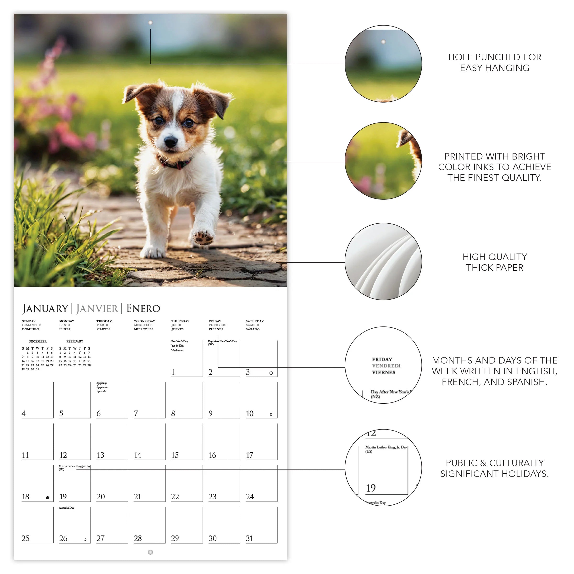 Puppy Love 2026 Wall Calendar