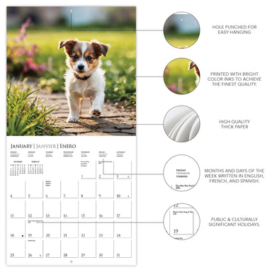 Puppy Love 2026 Wall Calendar