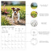 Puppy Love 2026 Wall Calendar
