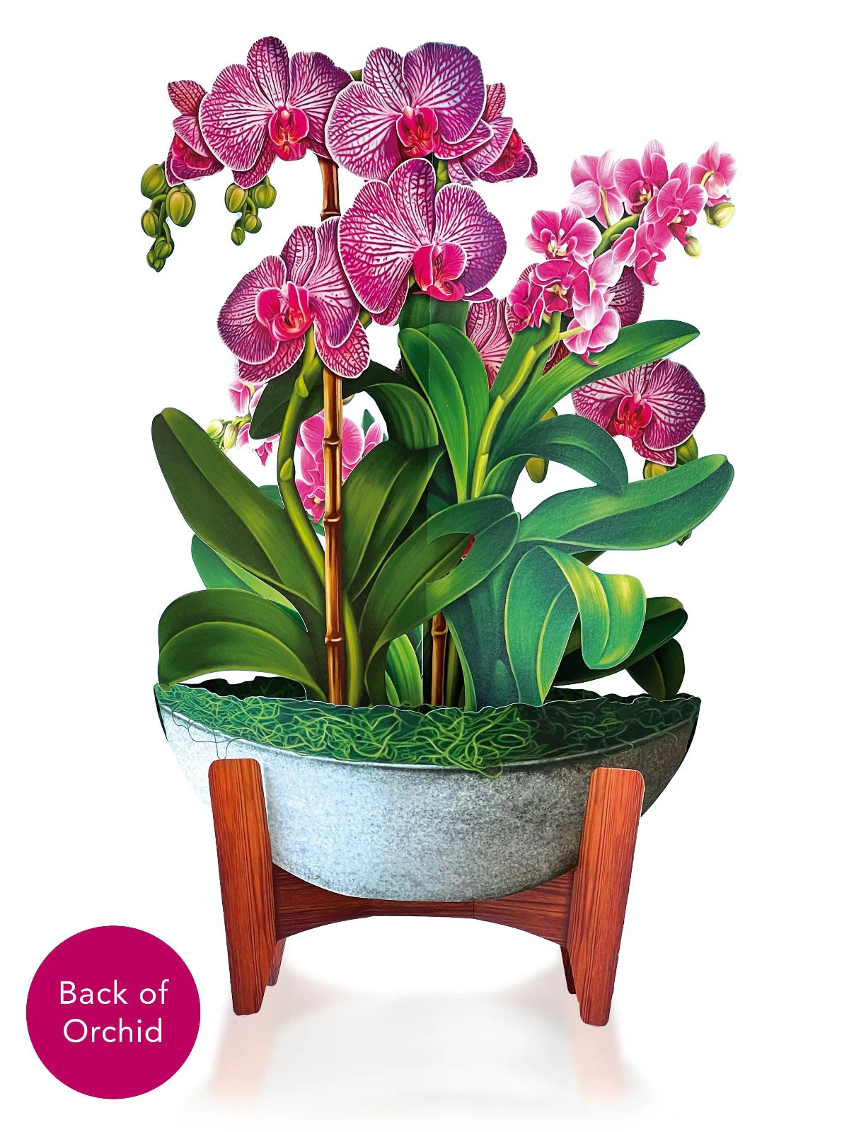 Orchid Oasis Pop Up Flower Bouquet Greeting Card    