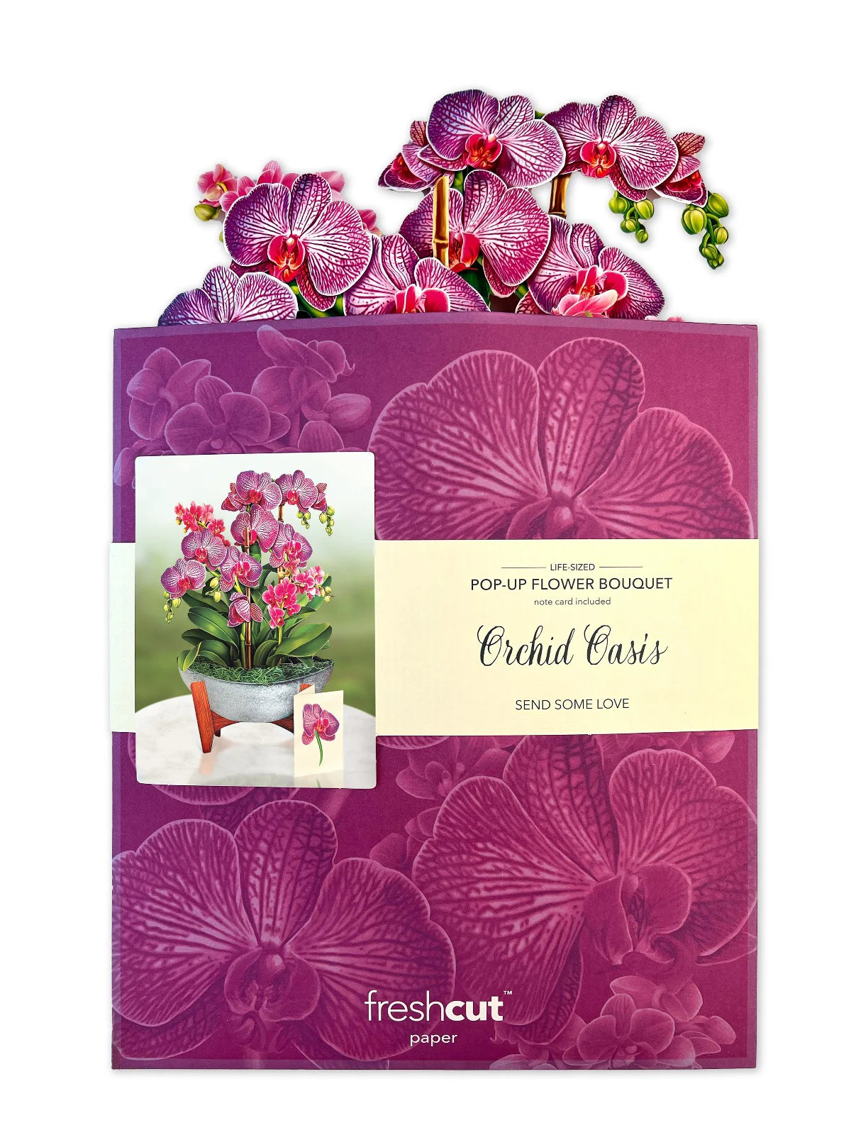 Orchid Oasis Pop Up Flower Bouquet Greeting Card    