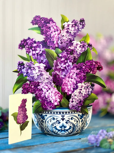 Garden Lilacs Pop Up Flower Bouquet Greeting Card    