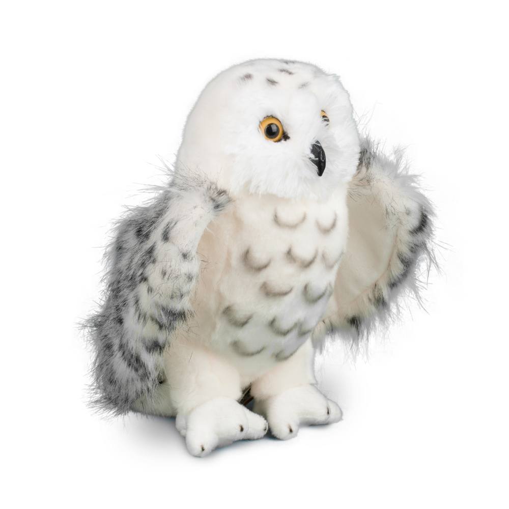 Legend Snowy Owl