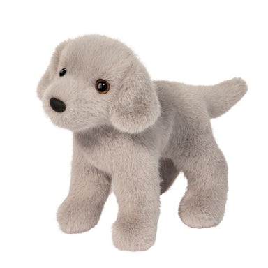 Slate Silver Lab