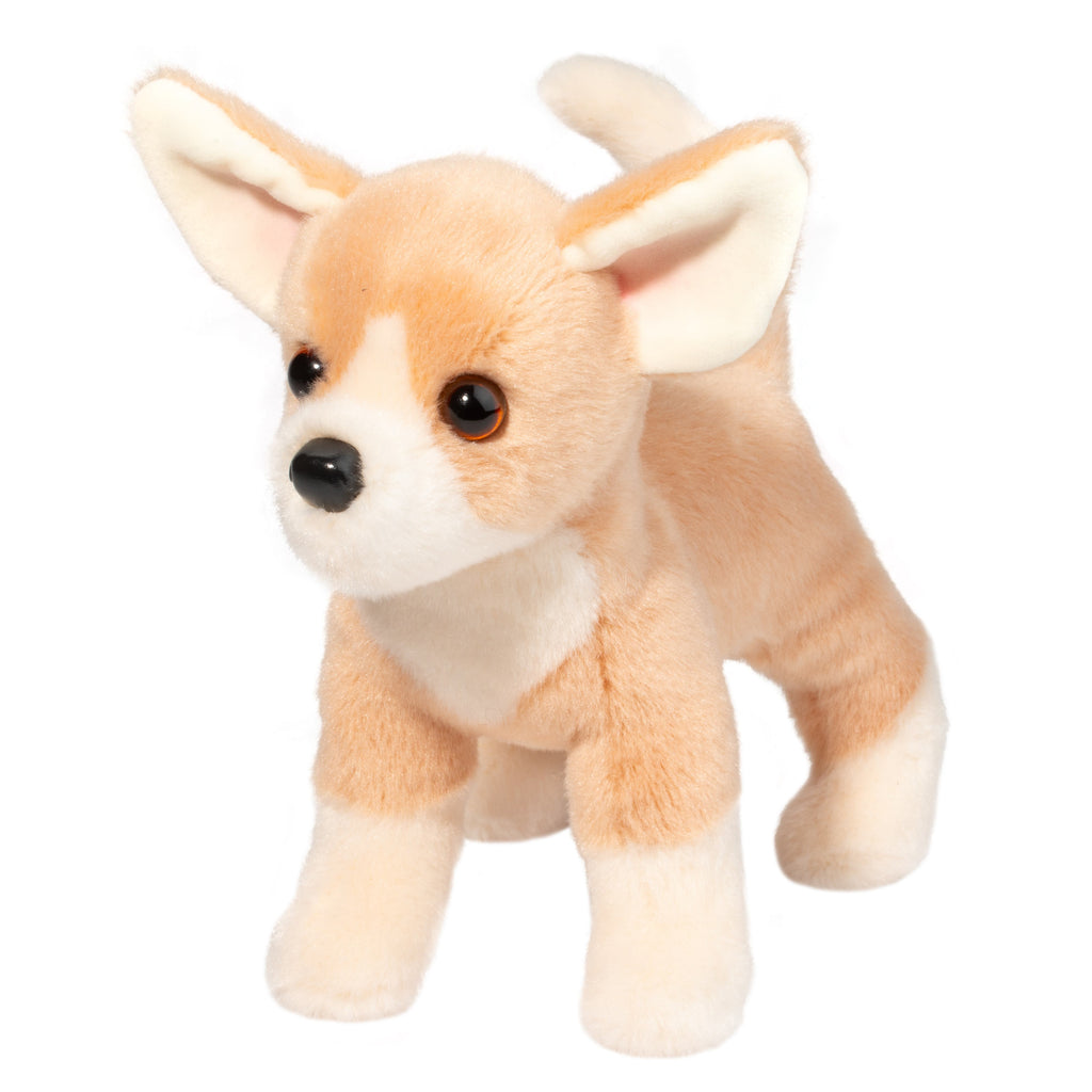 Chichi Chihuahua — Bird in Hand