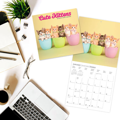 Cute Kittens 2025 Wall Calendar    