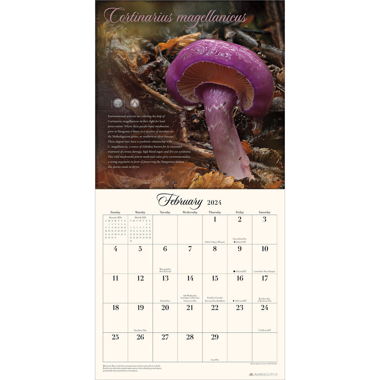 The Miraculous Mushroom with Fabulous Fungi Facts 2024 Wall Calendar    