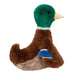 Desie Mallard Duck Soft