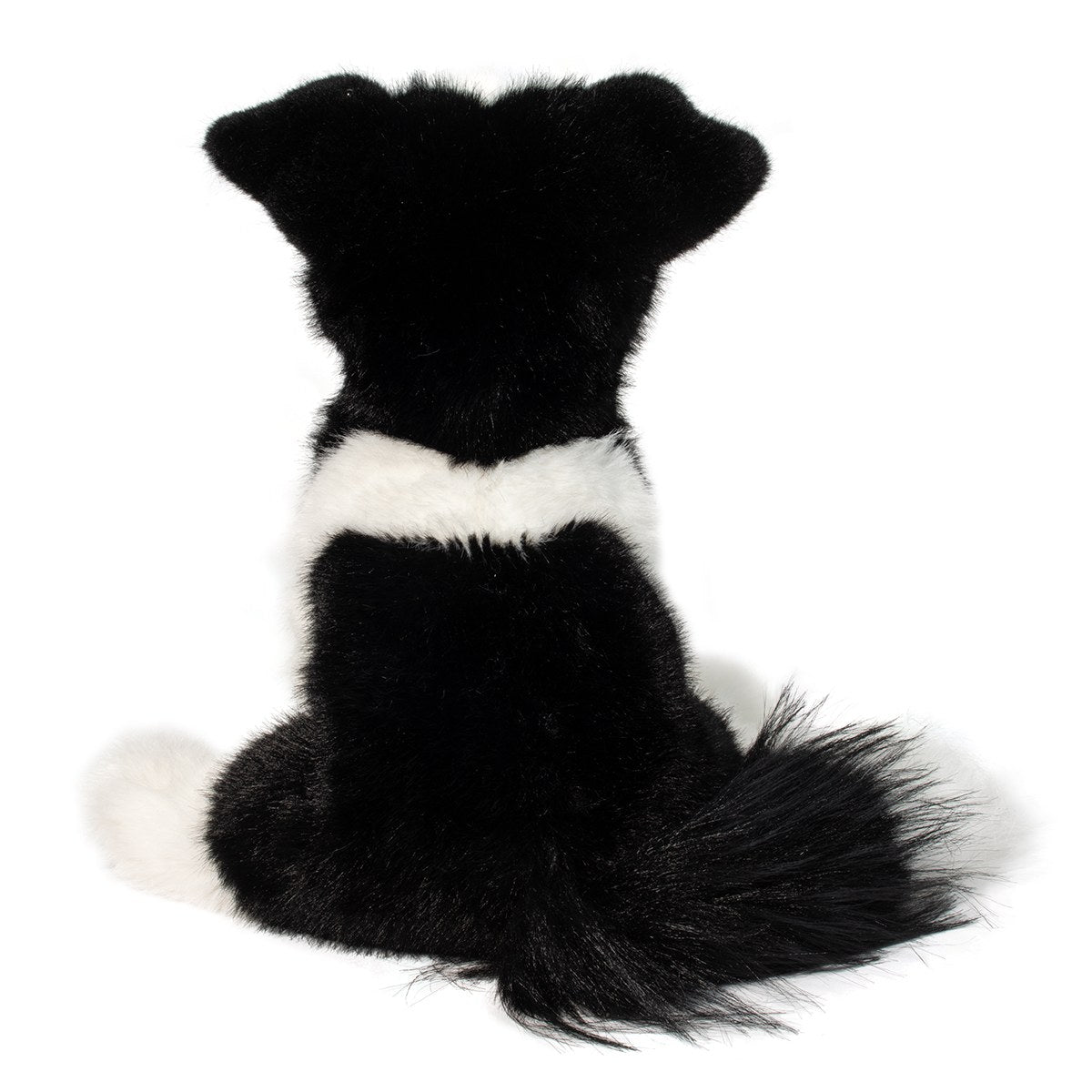 Herder Soft Border Collie