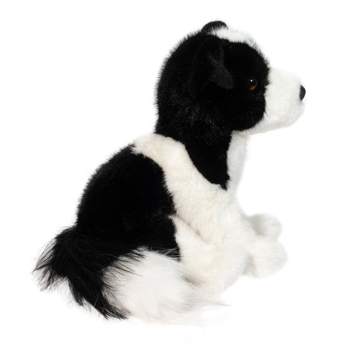 Herder Soft Border Collie