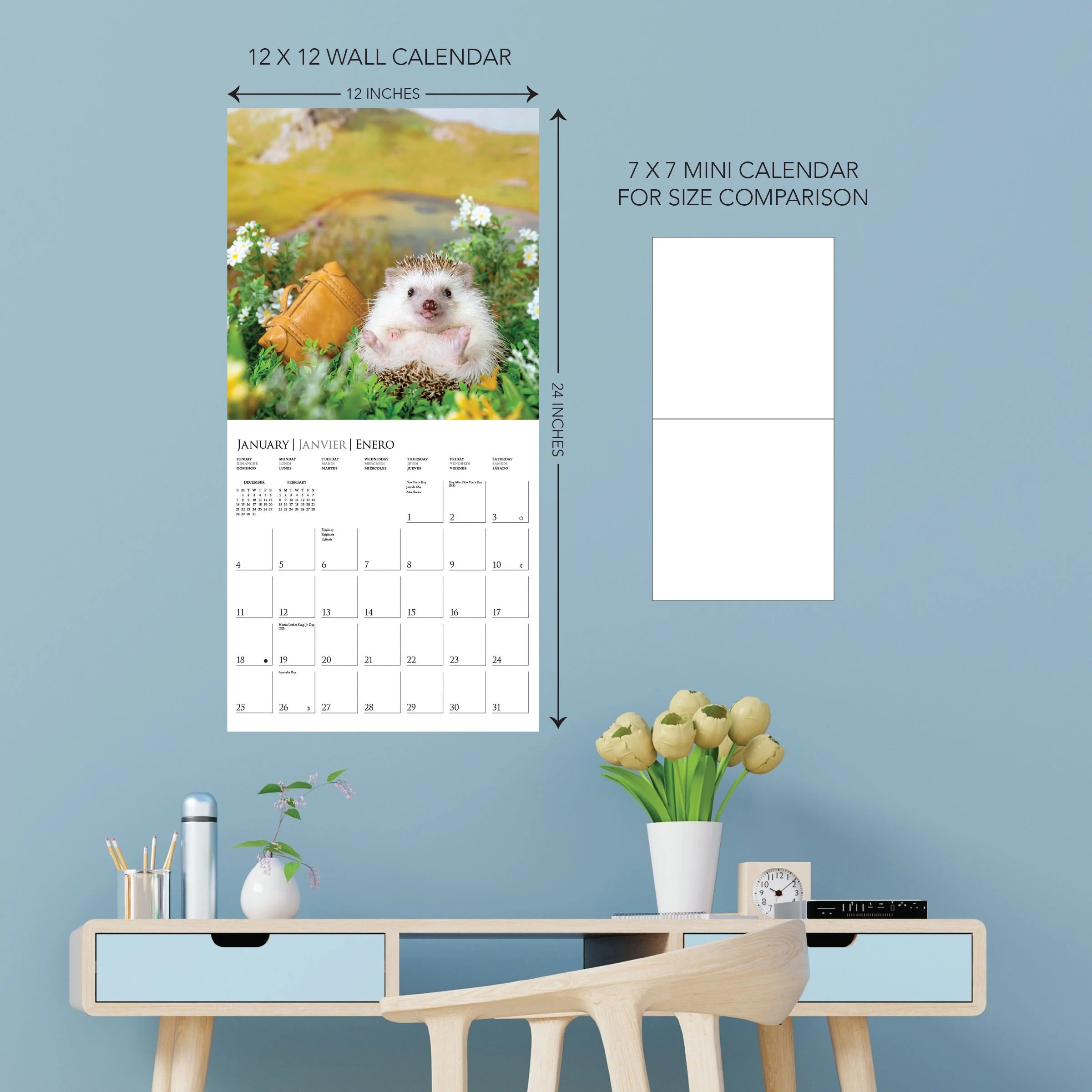 The Happiest Hedgehog