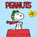 Peanuts Happiness 2025 Mini Wall Calendar    