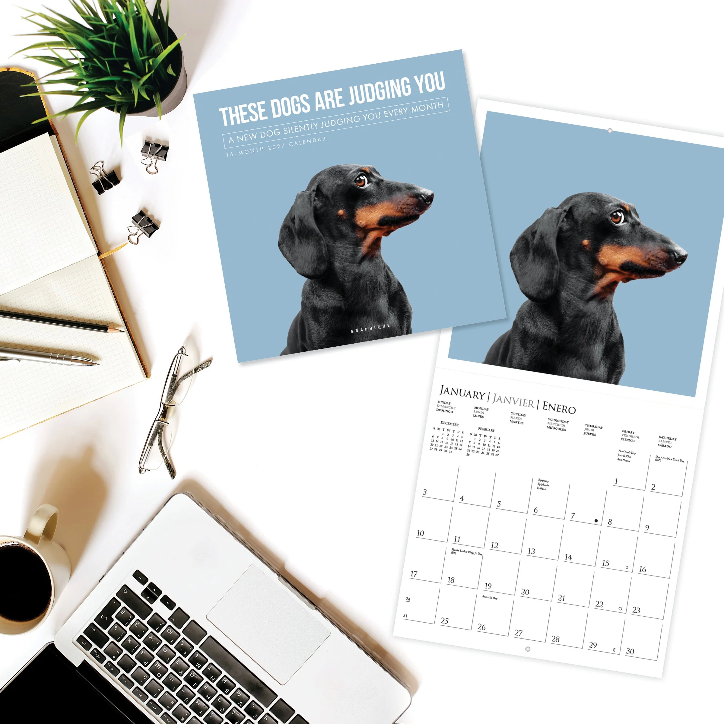 GRPH Judgmental Dogs 2027 Wall Calendar