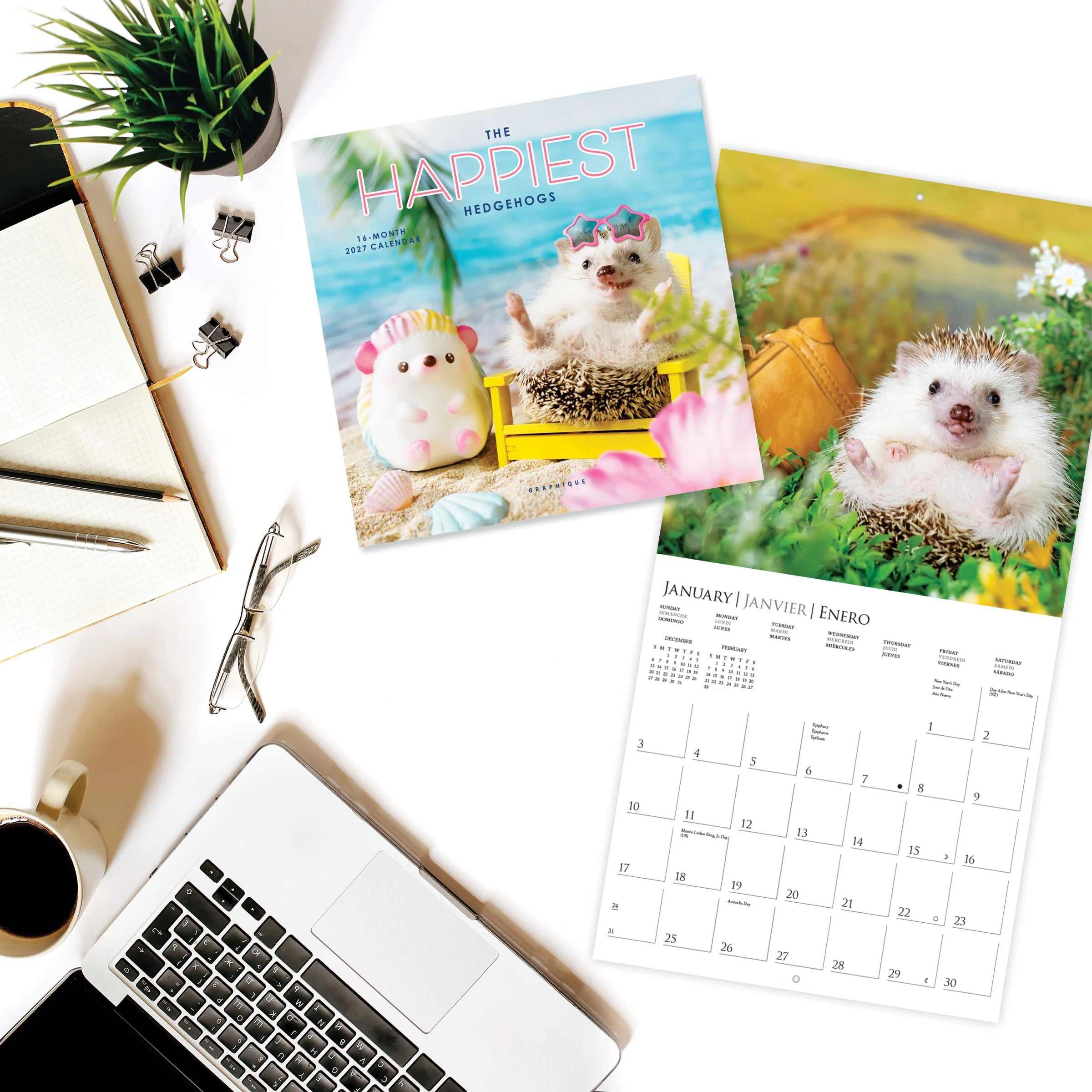 GRPH The Happiest Hedgehogs 2027 Mini Wall Calendar