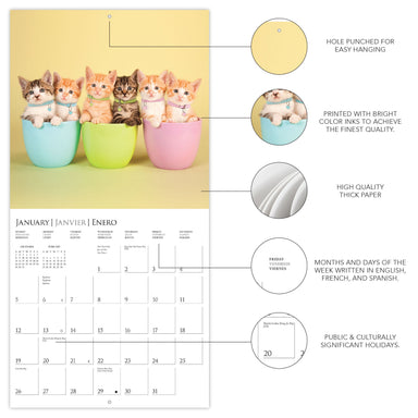 Cute Kittens 2025 Wall Calendar    