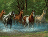 SPRGBK Summer Creek 500 Piece Puzzle