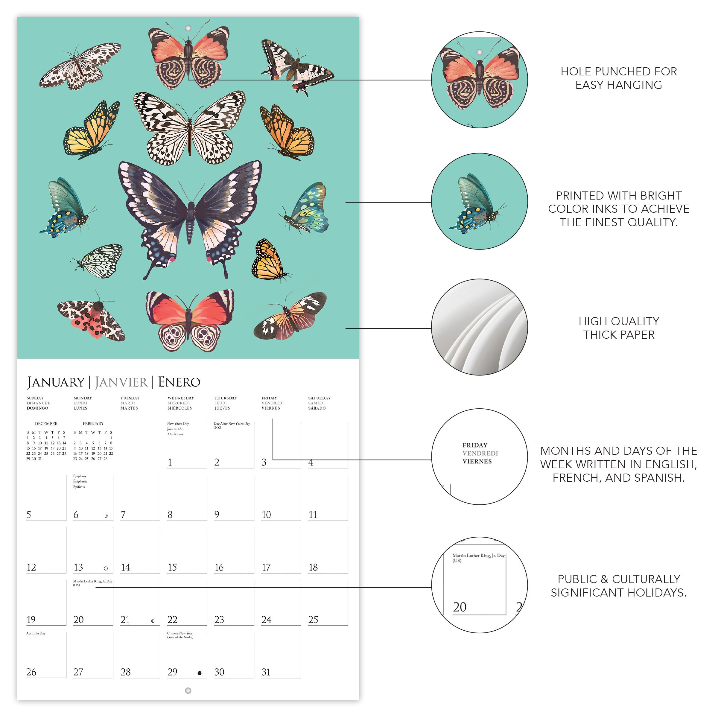 Butterflies 2025 Wall Calendar    