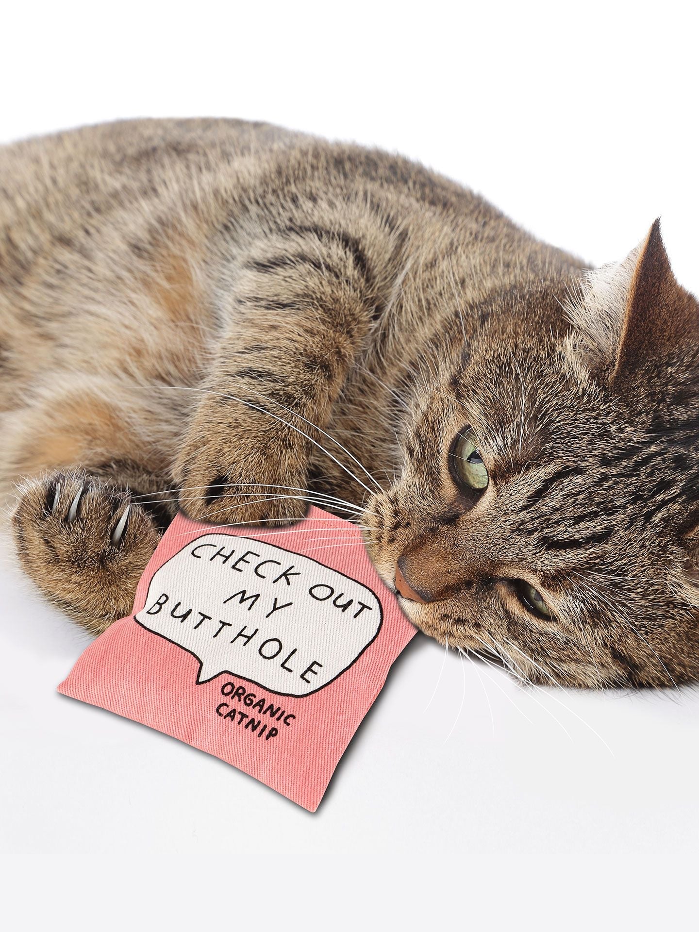 BLUQ Check Out My Butthole Catnip Toy