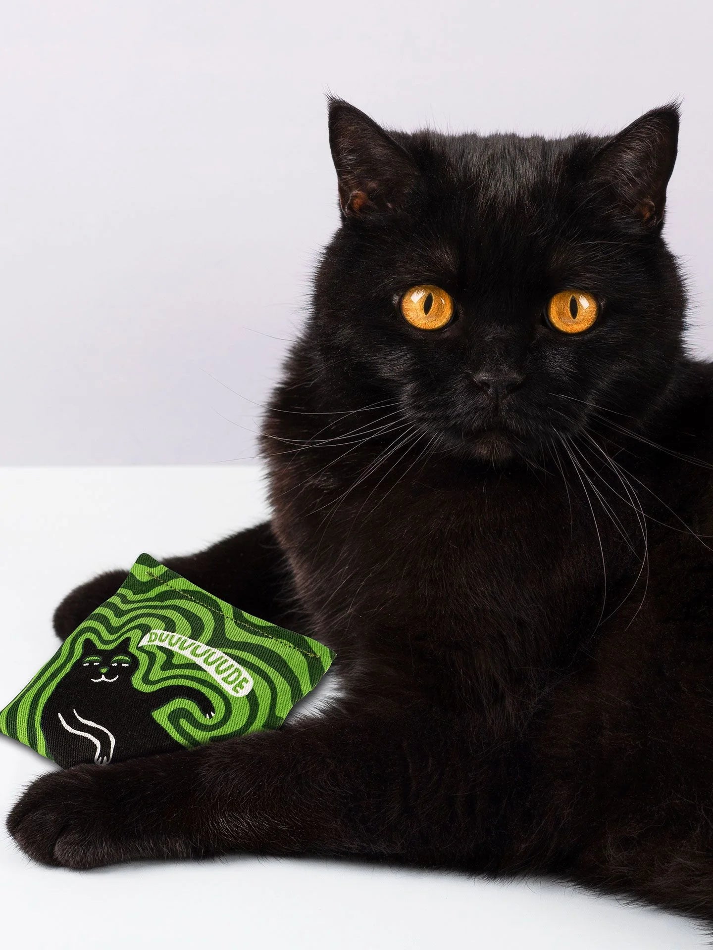 BLUQ Duuuuuude Catnip Toy