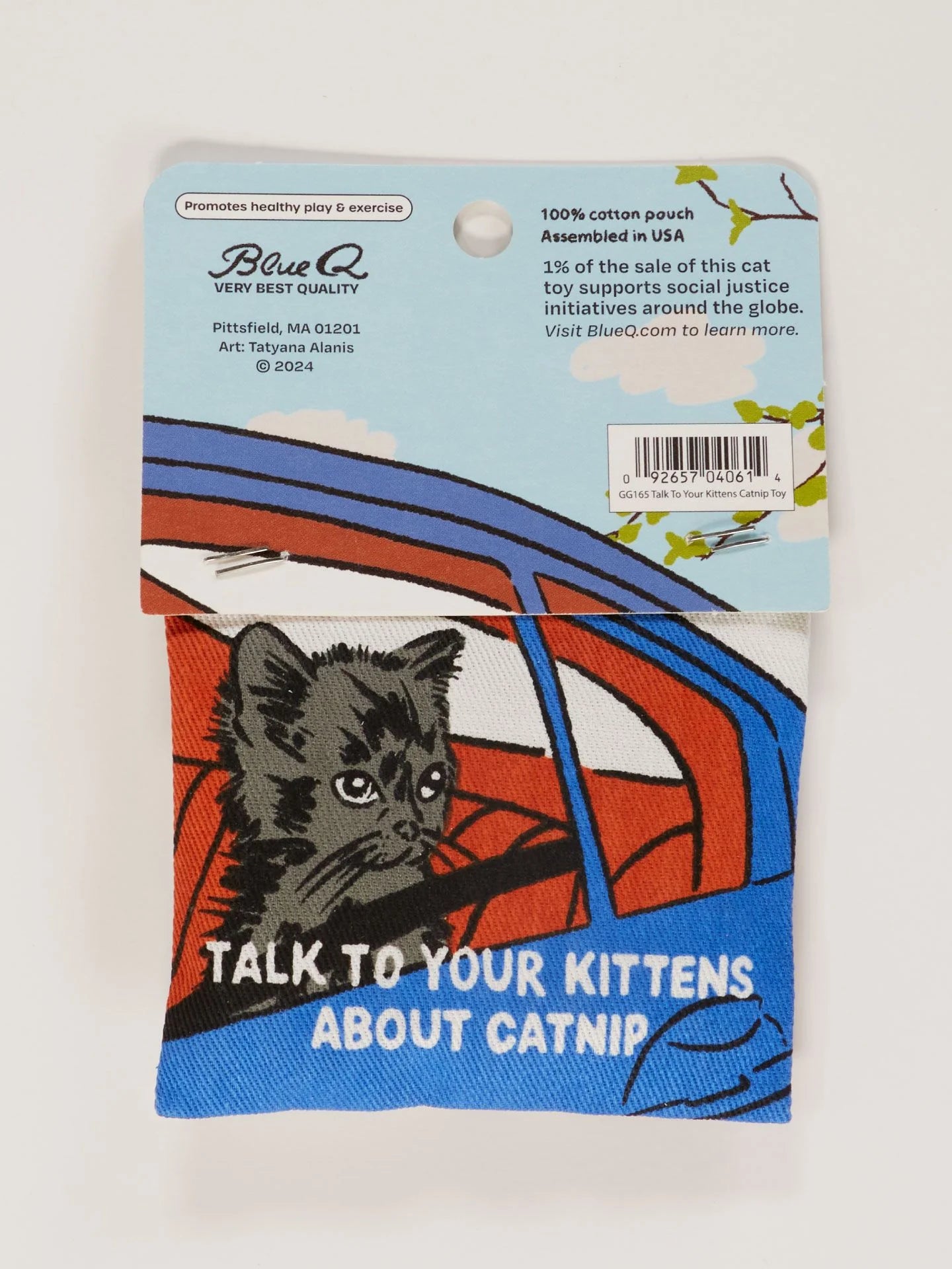 BLUQ Talk To Your Kittens About Catnip Toy
