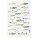 MCHL Rainbow Trout Tea Towel