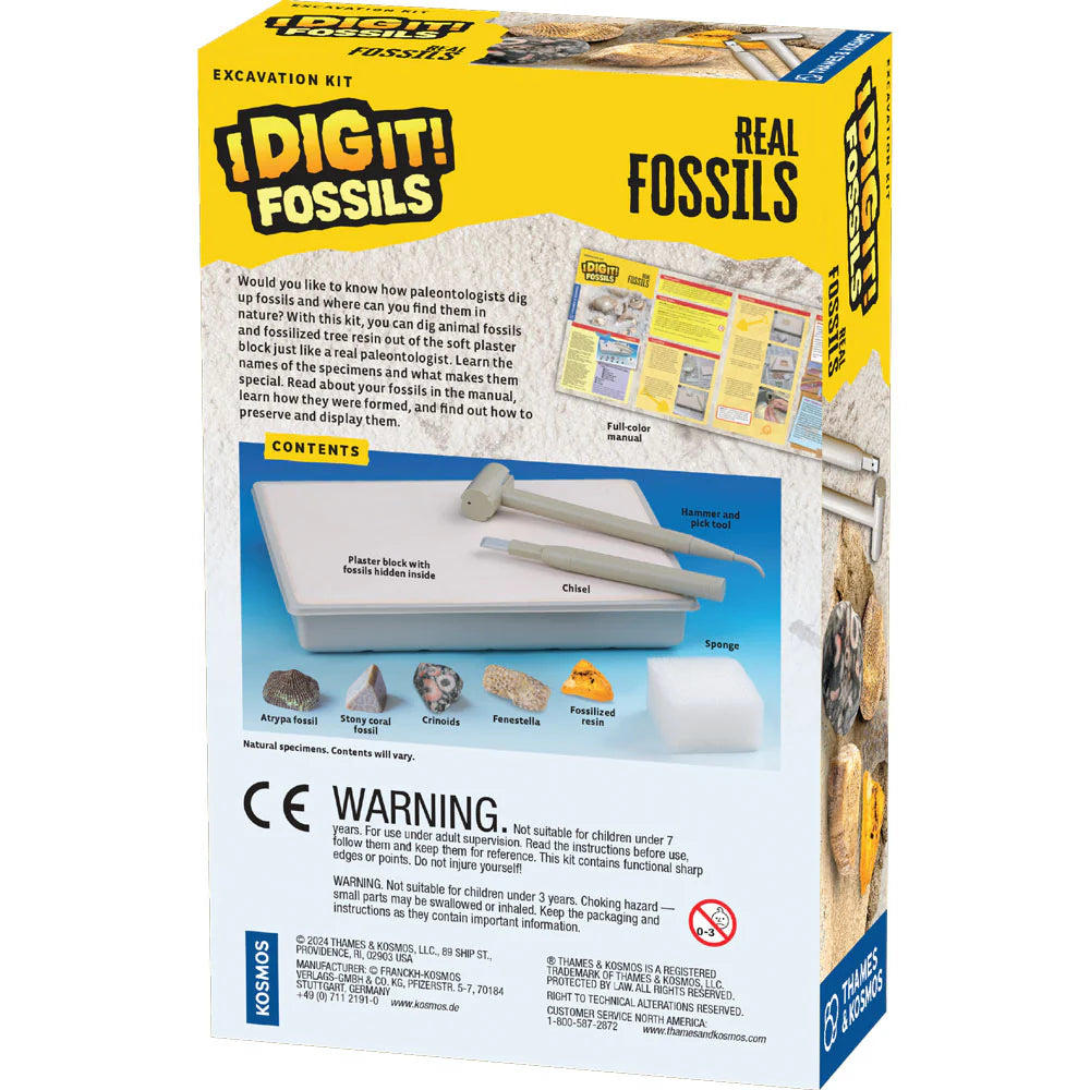 I Dig It! Fossils - Dig Up Real Fossil Specimens