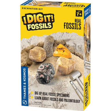 I Dig It! Fossils - Dig Up Real Fossil Specimens