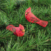 Wooden Clip-On Cardinal Ornament - (Single) Various Styles